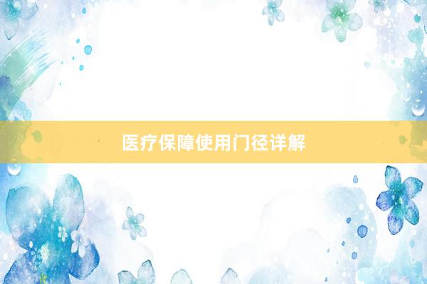 医疗保障使用门径详解